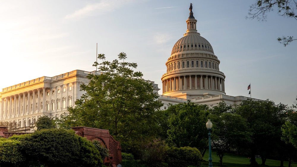 The U.S. Capitol at sunrise in Washington, D.C.