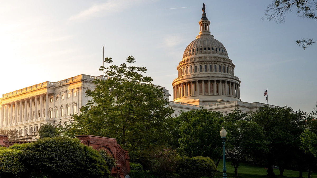 The U.S. Capitol at sunrise in Washington, D.C.